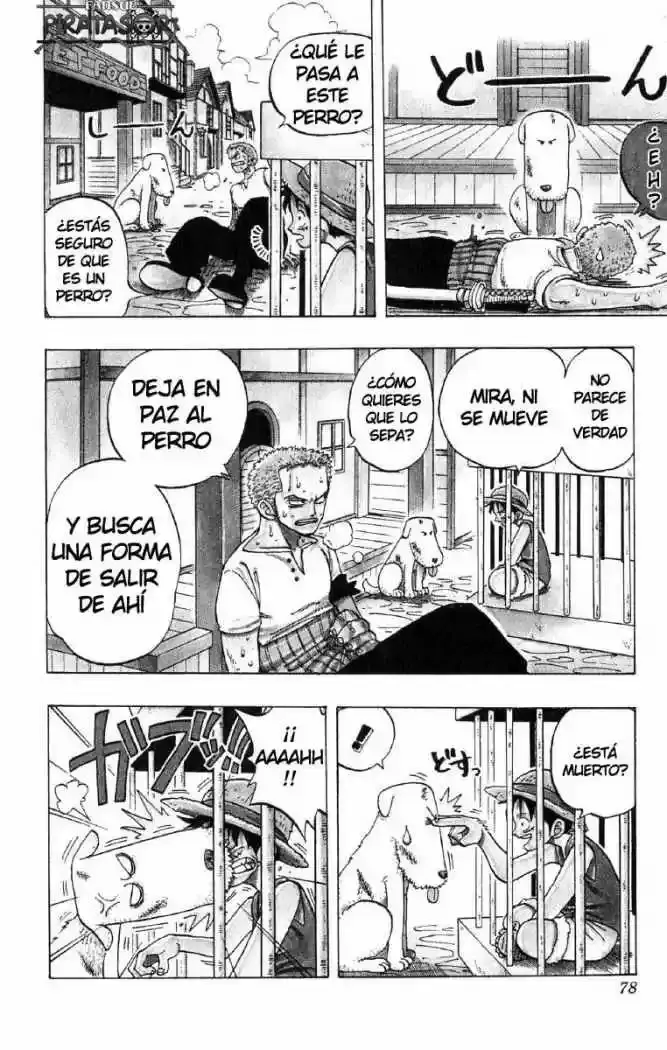 Página 7
